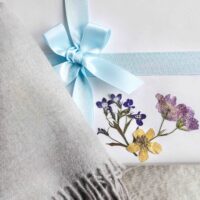 Cashmere Scarf Wrapping StephieAnn
