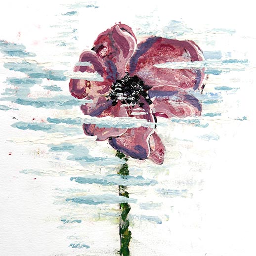 Daisies9.jpg