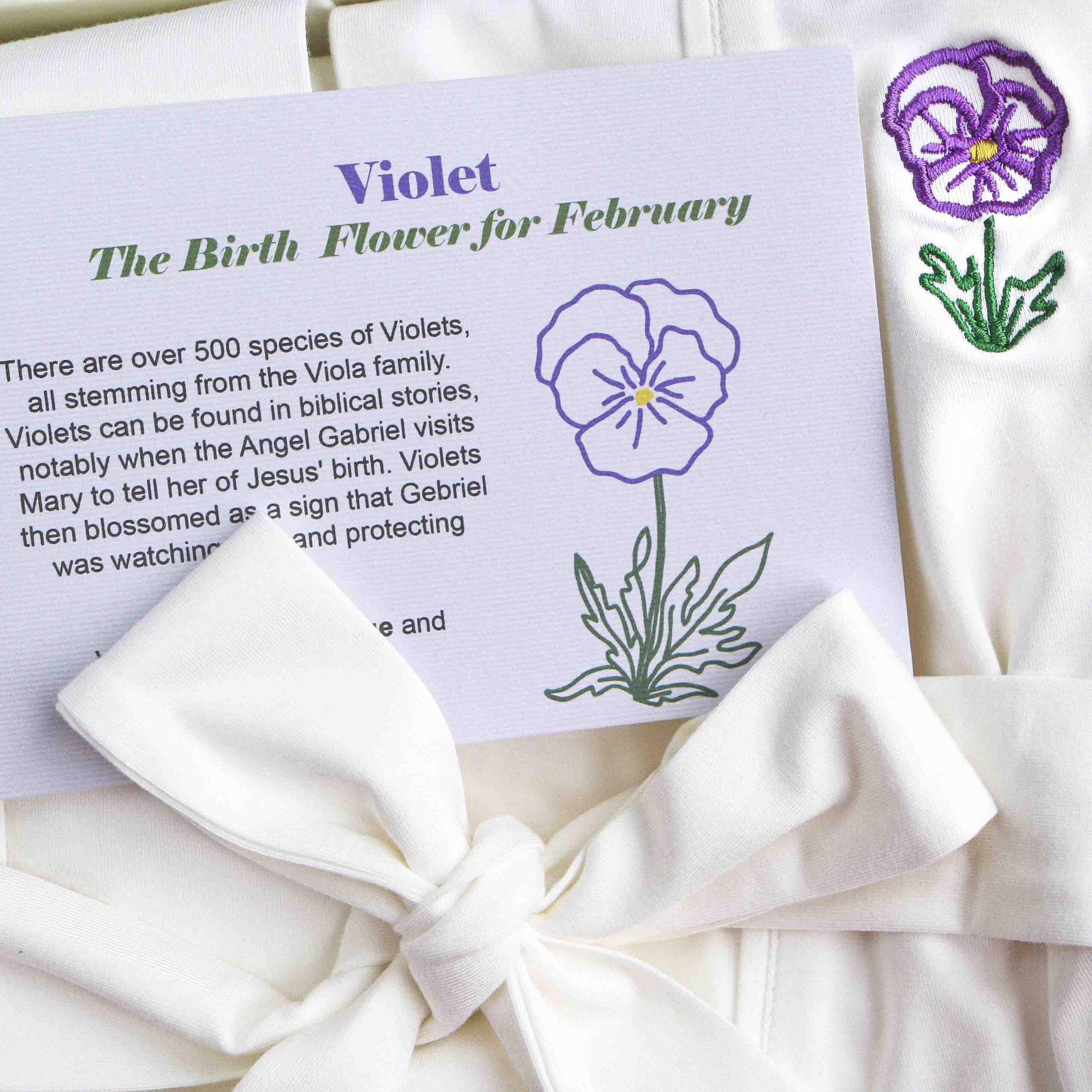 Birth-flower-robe-violet-February-scaled-1.jpg