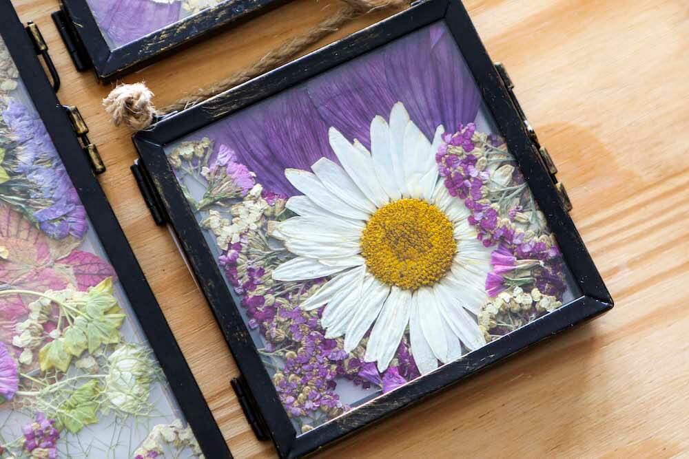 framed pressed wedding flowers UK StephieAnn