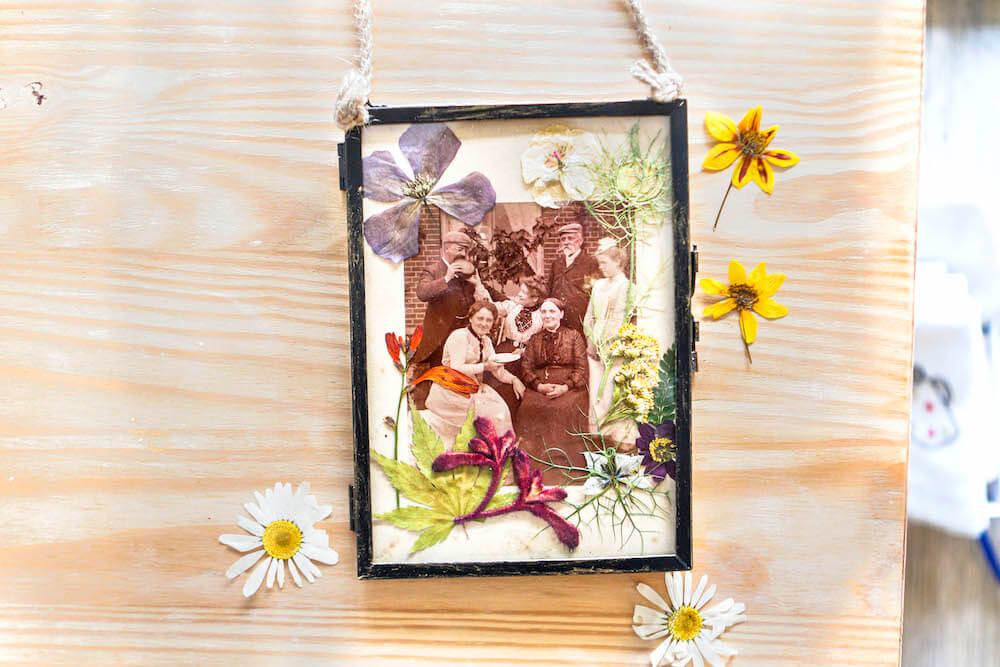 Pressed Flower with vintage photo