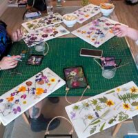 Pressed Flower Frames Workshop - Thumbnail Image 5